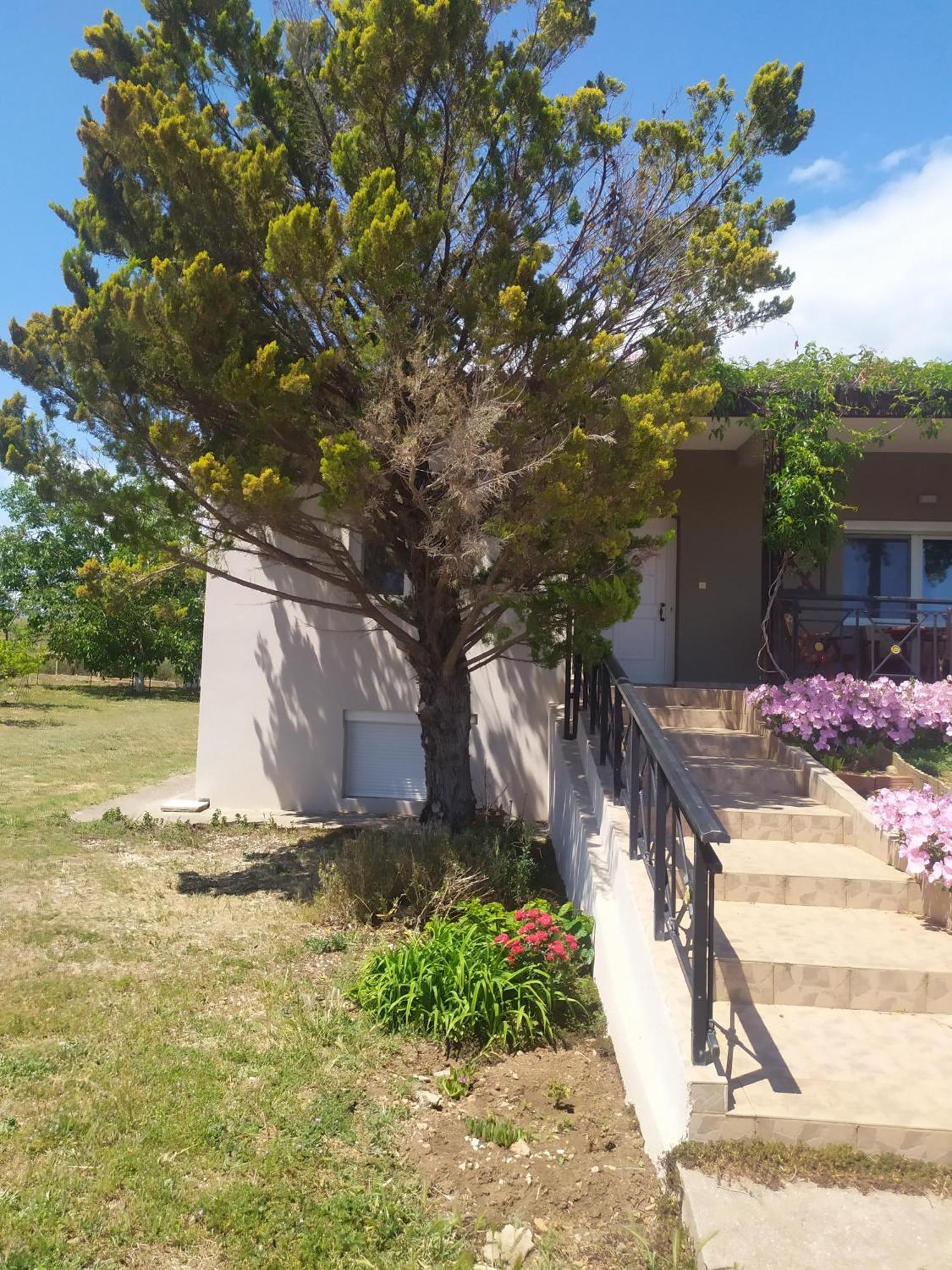 Hill View 4 Villa Александруполис Екстериор снимка